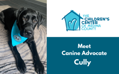 Welcome Cully, Canine Advocate