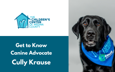 Providing Support and Comfort: Spotlight on Cully