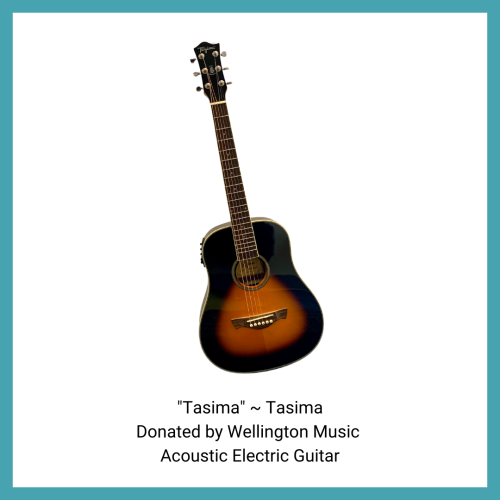 13-Tasima