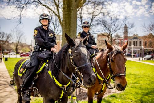 Mounted Unit 