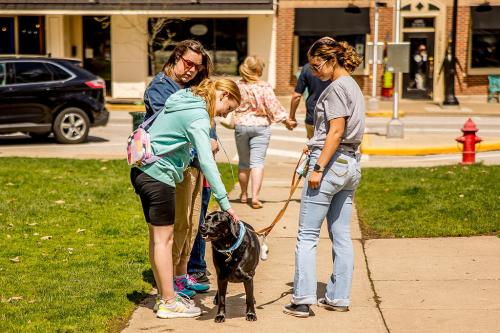 Cully, Canine Advocate with Ellysa Paras