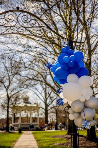 Balloons from Bubbles & Bows LLC