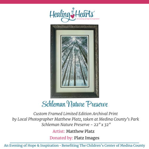 Schleman Nature Preserve