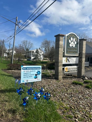 Hinckley Animal Hospital and Doggie Harmony