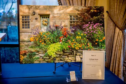 Live-Auction-Item-11