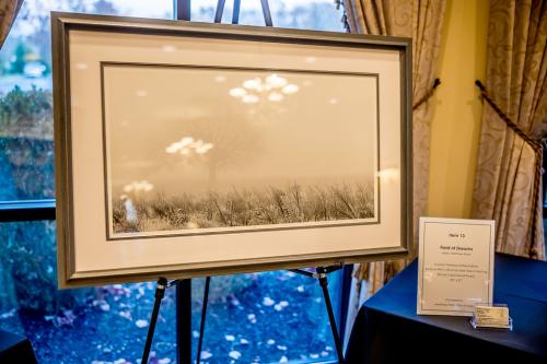 Live-Auction-Item-13