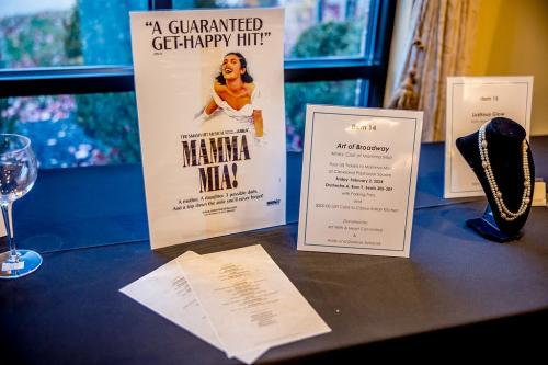 Live-Auction-Item-14