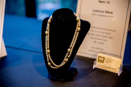 Live-Auction-Item-15