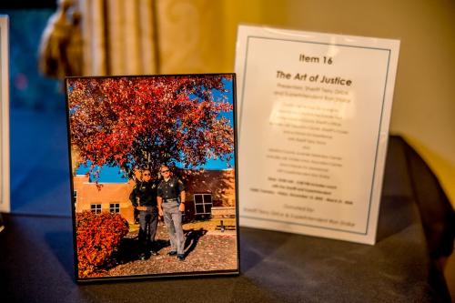 Live-Auction-Item-16