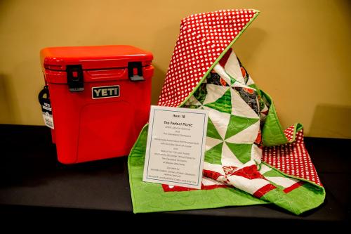 Live-Auction-Item-18