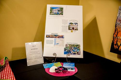 Live-Auction-Item-19