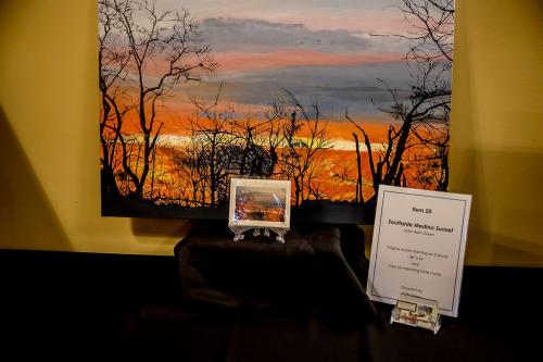 Live-Auction-Item-20