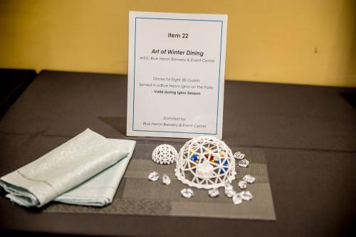 Live-Auction-Item-22