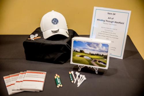 Live-Auction-Item-24