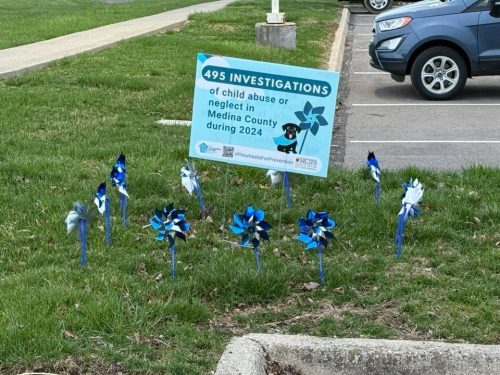 Bluecoats of Medina County