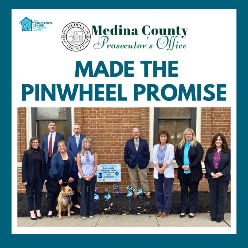 Medina County Prosecutor's Office