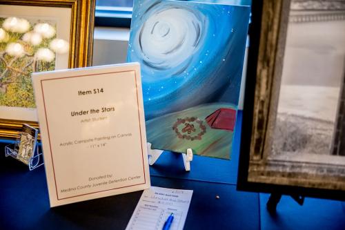 Silent-Auction-Item-14