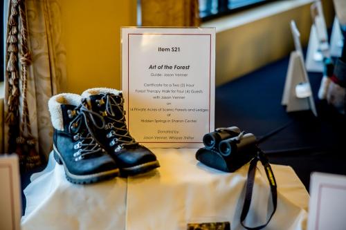 Silent-Auction-Item-21