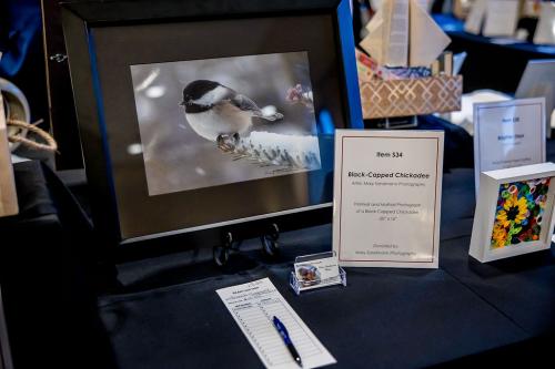 Silent-Auction-Item-34