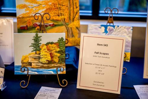 Silent-Auction-Item-43