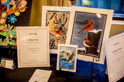 Silent-Auction-Item-46