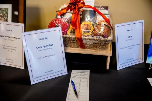 Silent-Auction-Item-6